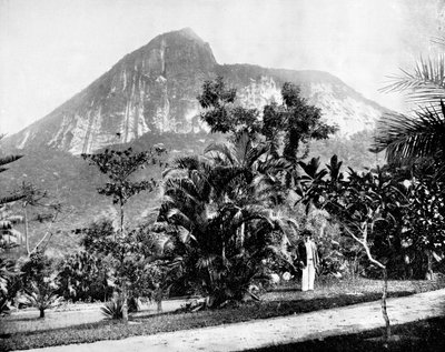 Ogrody botaniczne i góra Corcovado, Rio De Janeiro, Brazylia, 1893. autorstwa John L. Stoddard