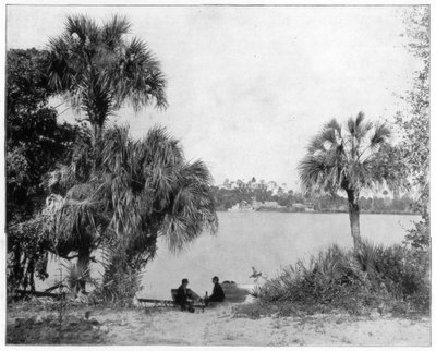 Indian River, Floryda, koniec XIX wieku autorstwa John L. Stoddard