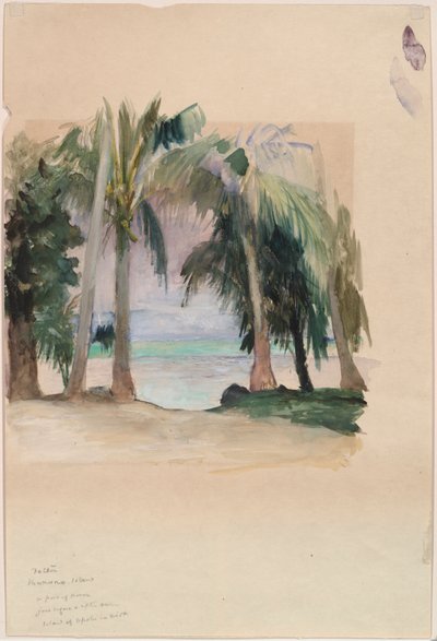 Palmy nad morzem autorstwa John La Farge
