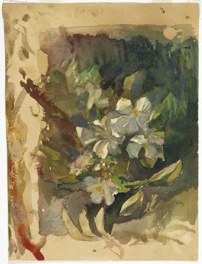 Kwiaty jabłoni w słońcu (wc na papierze) autorstwa John La Farge or Lafarge