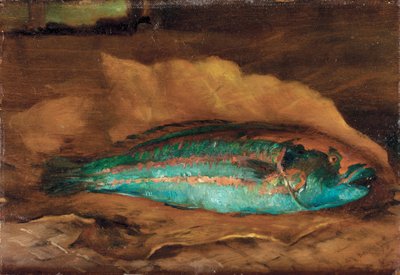 Badanie papugoryby, Samoa, 1890 autorstwa John La Farge or Lafarge