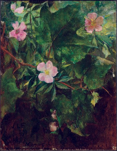 Dzika róża i winorośl, studium natury, 1871 autorstwa John La Farge or Lafarge
