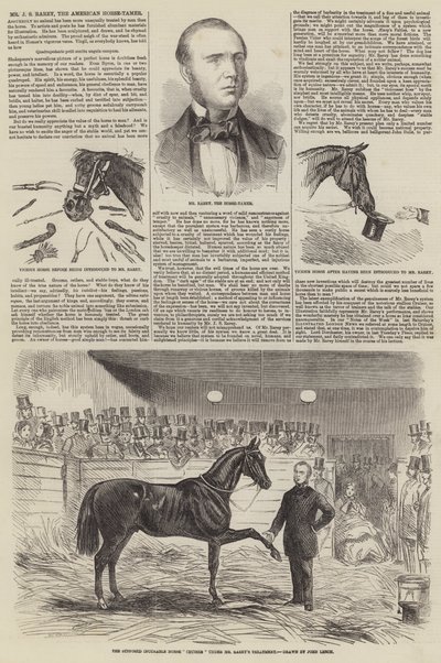 Pan JS Rarey, amerykański poskramiacz koni autorstwa John Leech
