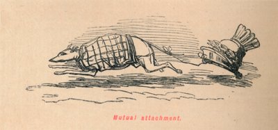 Wzajemne przywiązanie, 1852 autorstwa John Leech