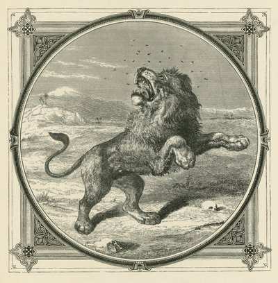 Komar kłuje oczy Lwa (rycina) autorstwa John Leighton