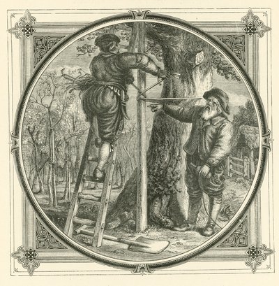Gałęzie mogą być trenowane, ale nie pień (grawerowanie) autorstwa John Leighton