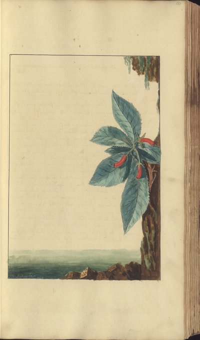 Strona z „Elegancies of Jamaica” autorstwa John Lindsay
