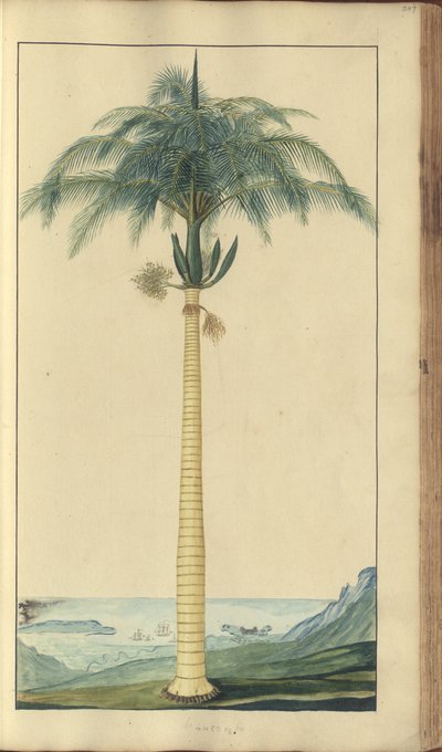 Strona z „Elegancies of Jamaica”, 397 autorstwa John Lindsay