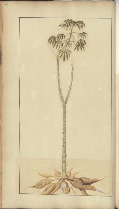Strona z „Elegancies of Jamaica”, 470 autorstwa John Lindsay