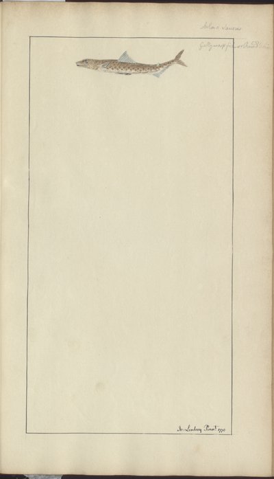 Rysunki Lindsay tom. VII, 23 autorstwa John Lindsay