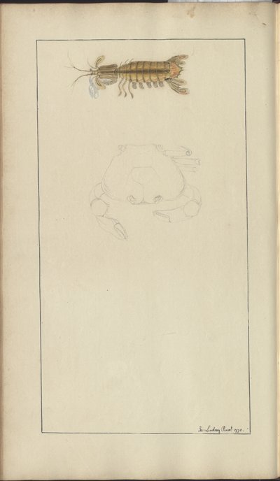 Rysunki Lindsay tom. VII, 24 autorstwa John Lindsay