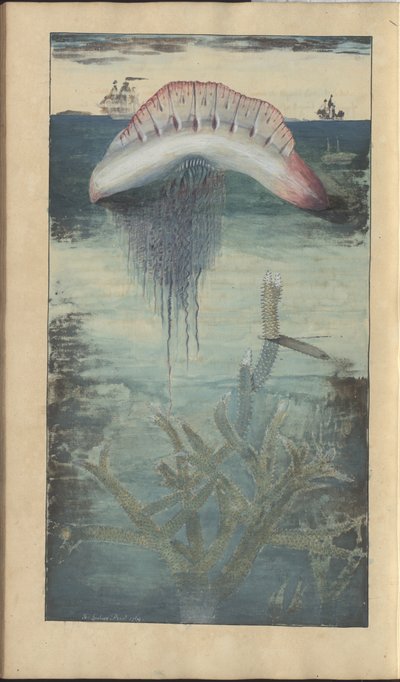 Rysunki Lindsay tom. VII, 30 autorstwa John Lindsay