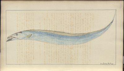 Rysunki Lindsay tom. VII, 9 autorstwa John Lindsay