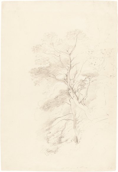Drewno bukowe autorstwa John Linnell