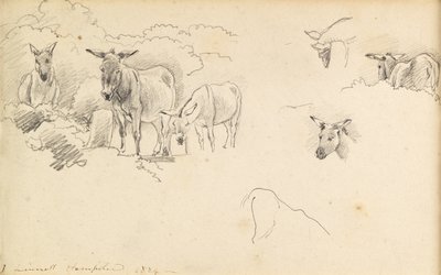 Osły, 1824 autorstwa John Linnell