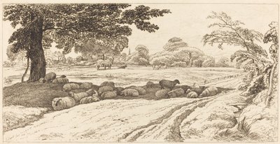 Owce w południe autorstwa John Linnell