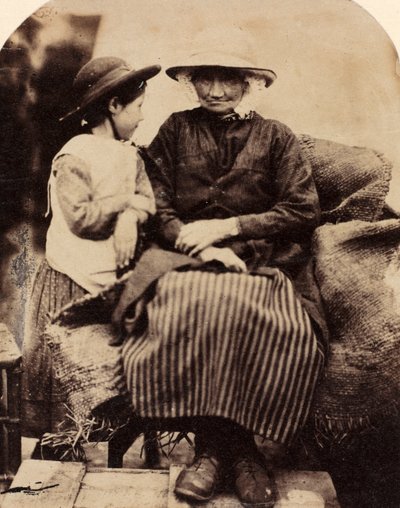 Słudzy w Rhagatt, Corwen, Północna Walia, c. 1860. autorstwa John Lloyd