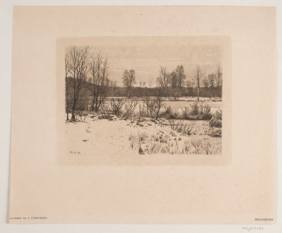 łobuz autorstwa John Lübschitz