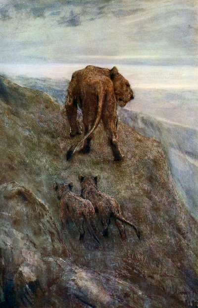 W pogotowiu - Lioness and Cubs, c1878-1910, 1912. autorstwa John Macallan Swan