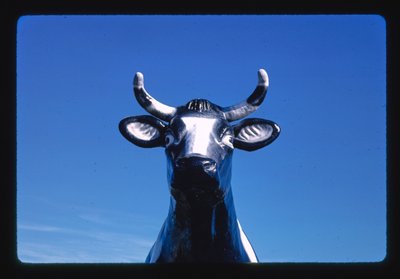 Szczegół statuetki krowy Chatty Belle, sklep z serami i upominkami, Neillsville, Wisconsin, USA autorstwa John Margolies