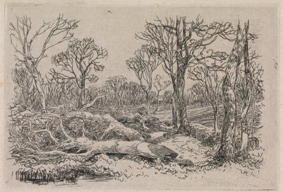 Ścięte drewno, Burningham autorstwa John Middleton