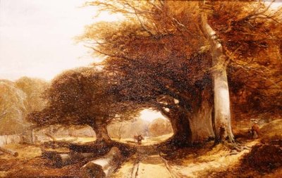 Leśna sceneria autorstwa John Middleton