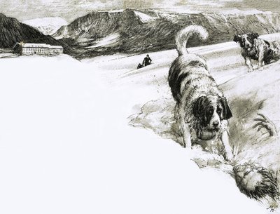 Dlatego... Te psy górskie nazywane są bernardynami autorstwa John Millar Watt