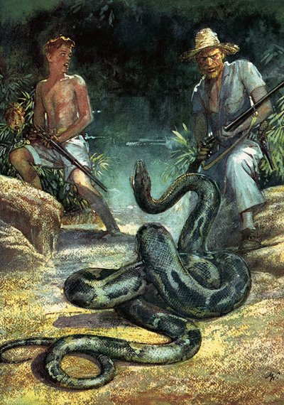 Szwajcarska rodzina Robinsonów autorstwa John Millar Watt
