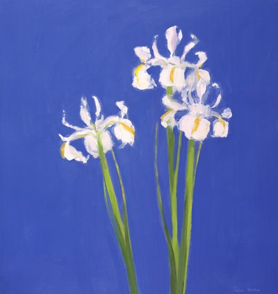 Holenderski Biały Exelsior, 2000 autorstwa John Miller