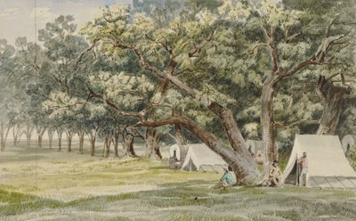 Gaj Cottonwood autorstwa John Mix Stanley