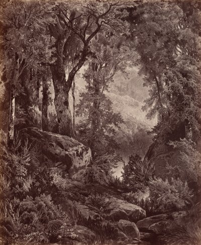 Samotność, 1865 (zdjęcie) autorstwa John Moran