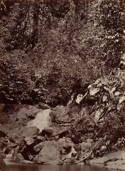 Tropikalna sceneria, Kaskada, rzeka Limon, 1871. autorstwa John Moran