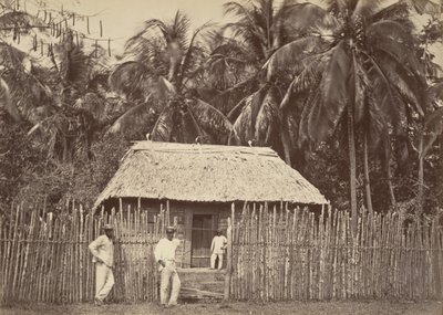 Tropikalna sceneria, chata rodzima, Turbo, 1871. autorstwa John Moran