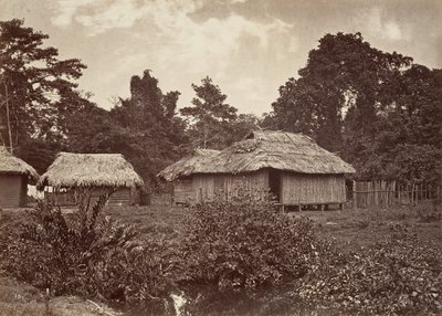 Tropikalna sceneria, Turbo Village, 1871. autorstwa John Moran