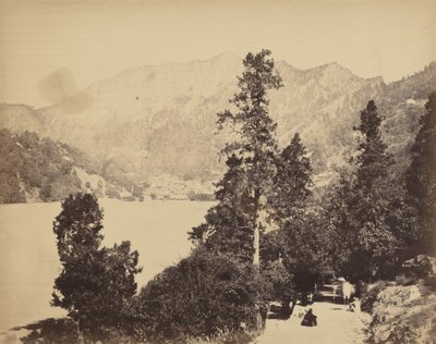 Nynee Tall z South End, ok. 1858-1862 (zdjęcie) autorstwa John Murray