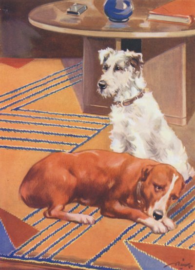 Ilustracja dla Beautiful Joe autorstwa Marshalla Saundersa (kolorowa litografia) autorstwa John Nicholson