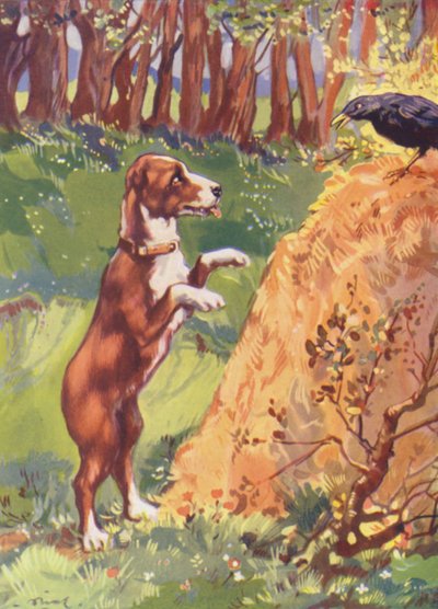 Ilustracja dla Beautiful Joe autorstwa Marshalla Saundersa (kolorowa litografia) autorstwa John Nicholson