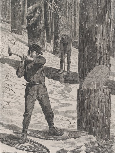 Trzepanie zimą w każdą sobotę, tom. II, Nowa seria, 28 stycznia 1871. autorstwa John Parker Davis