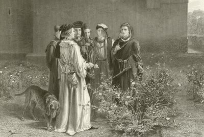 Konkurencyjne róże autorstwa John Pettie