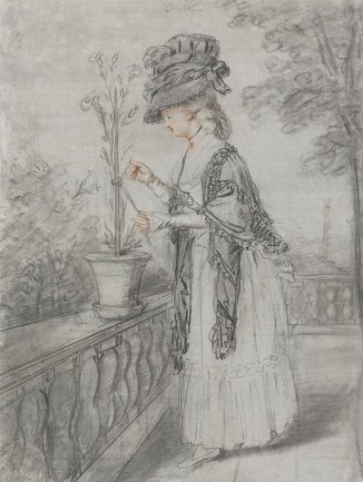 Pani na tarasie pielęgnująca goździk autorstwa John Raphael Smith