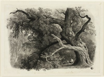 Stare drzewo w Billah - Las Sherwood autorstwa John Rawson Walker