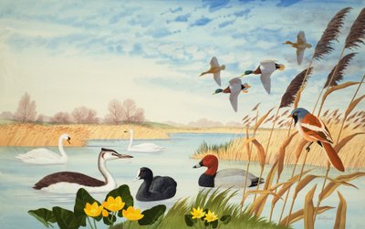 Scena natury (gwasz na papierze) autorstwa John Rignall