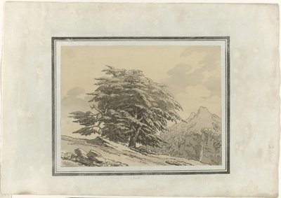 Cedr autorstwa John Robert Cozens