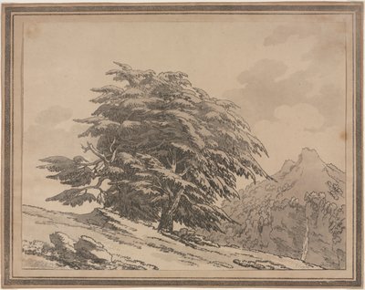 Nakreślenia ogólnych rozgałęzień charakteru i ulistnienia drzew leśnych: Cedr, 1789. autorstwa John Robert Cozens
