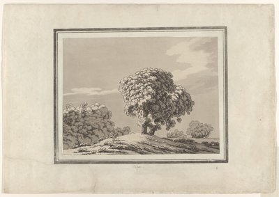 Wiąz autorstwa John Robert Cozens