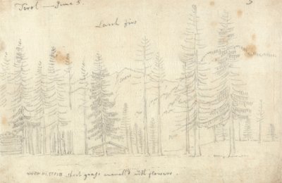 W Tyrolu autorstwa John Robert Cozens