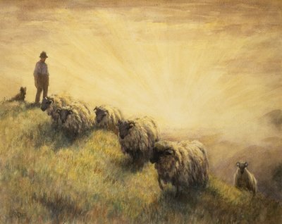 Pasterz przynoszący do domu swoją trzodę autorstwa John Robert Keitley Duff