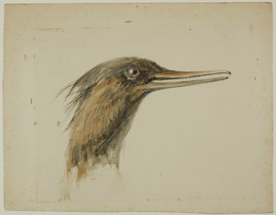 Tracz autorstwa John Ruskin