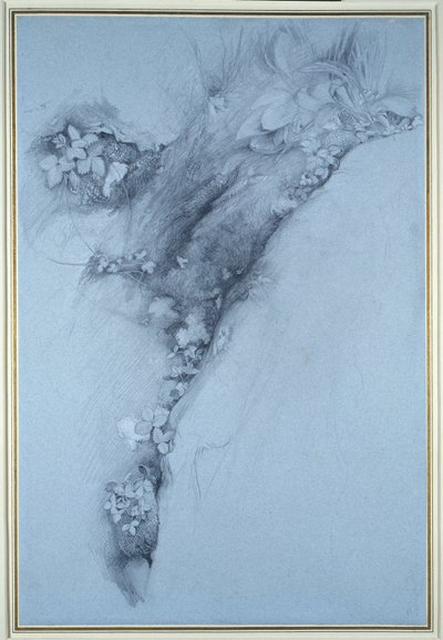 Mech i poziomka autorstwa John Ruskin
