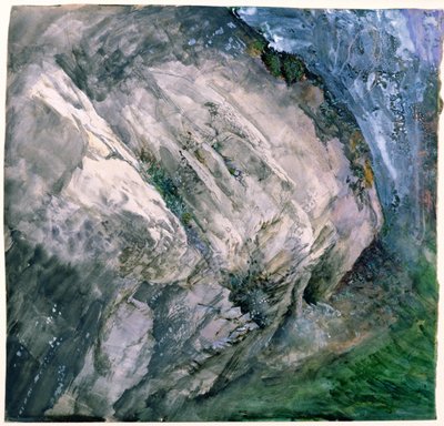 Skały i roślinność w Chamouni, 1854 autorstwa John Ruskin